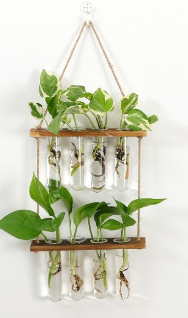 Wandhängendes Terrarium Blumenglas