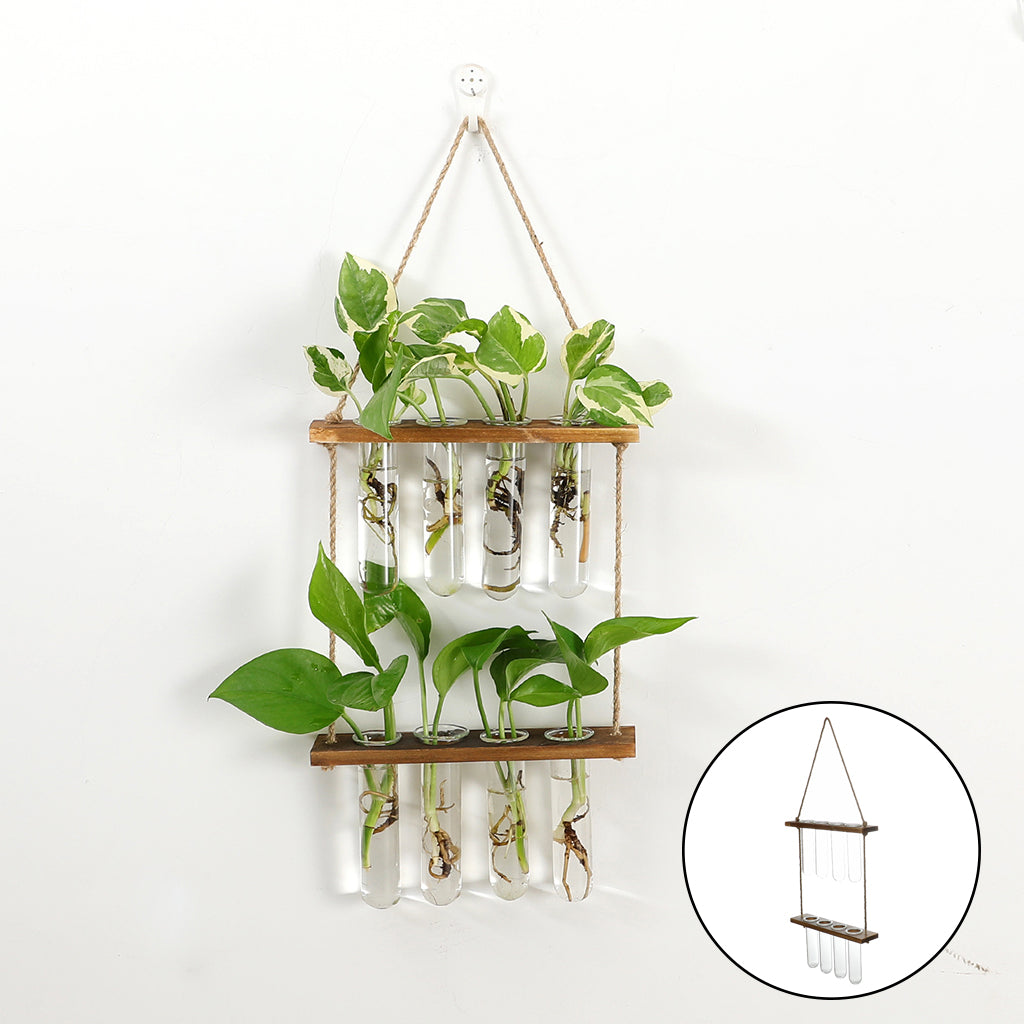 Wandhängendes Terrarium Blumenglas