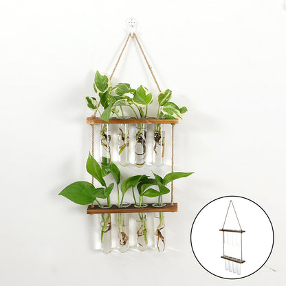 Wandhängendes Terrarium Blumenglas