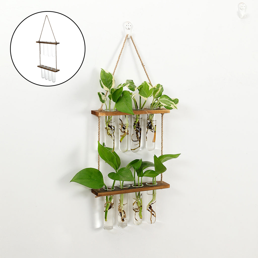 Wandhängendes Terrarium Blumenglas
