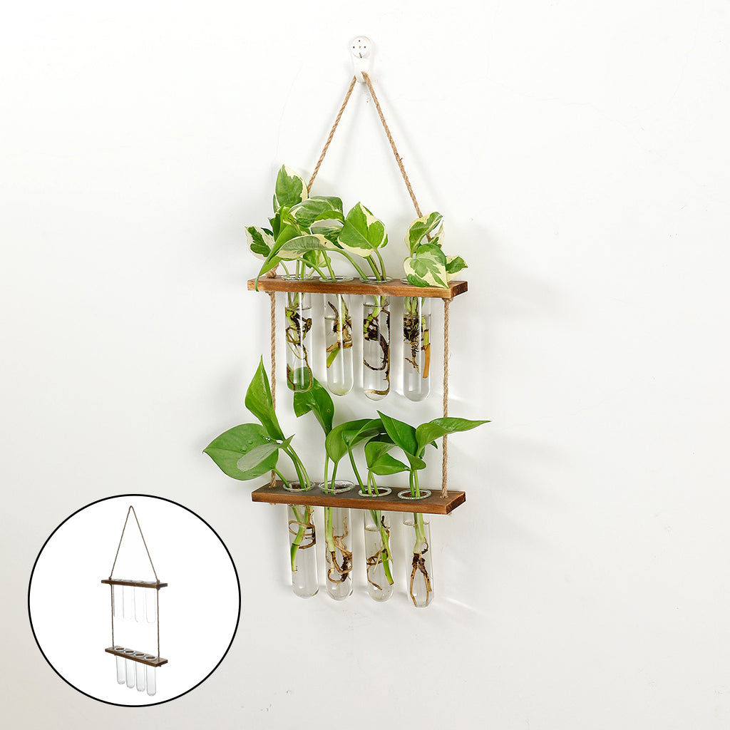 Wandhängendes Terrarium Blumenglas
