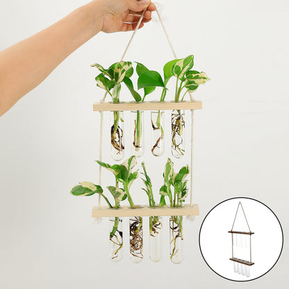 Wandhängendes Terrarium Blumenglas